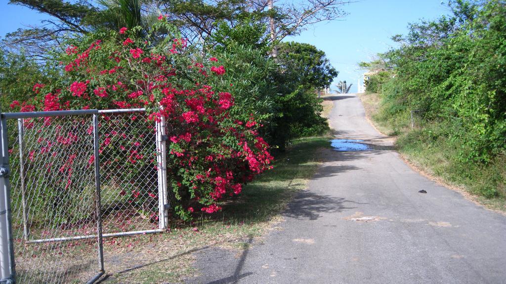 Vila Tranquility By The Sea Vieques Exteriér fotografie