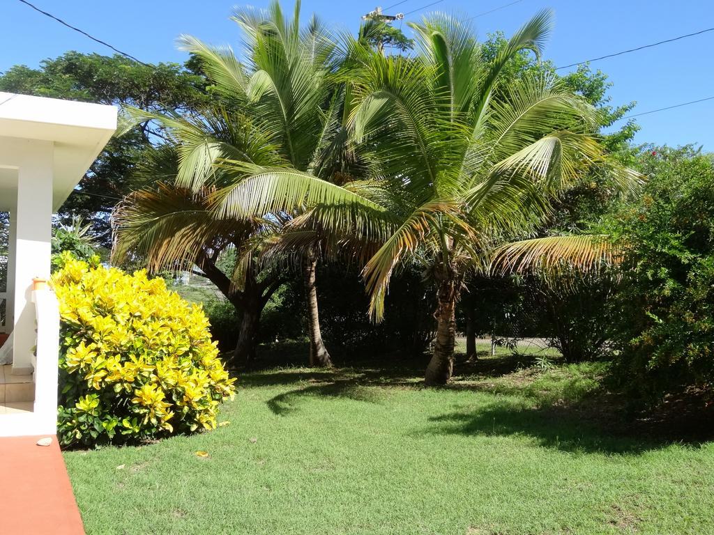 Vila Tranquility By The Sea Vieques Exteriér fotografie