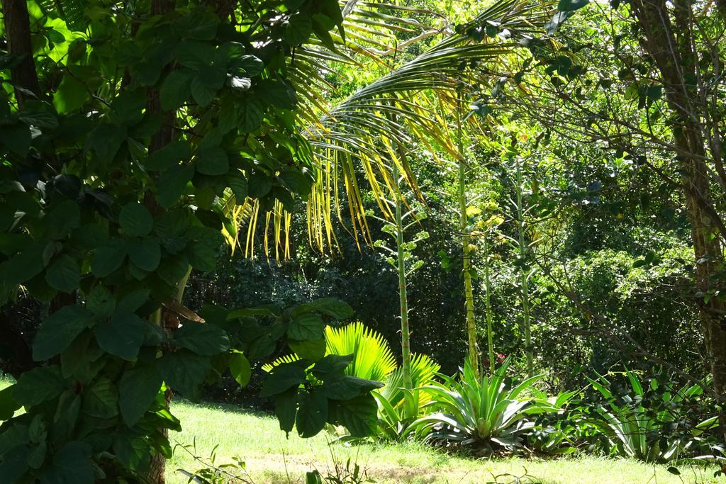 Vila Tranquility By The Sea Vieques Pokoj fotografie