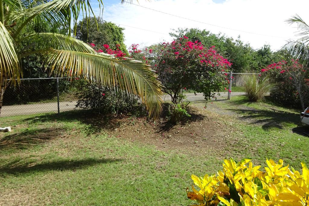 Vila Tranquility By The Sea Vieques Pokoj fotografie