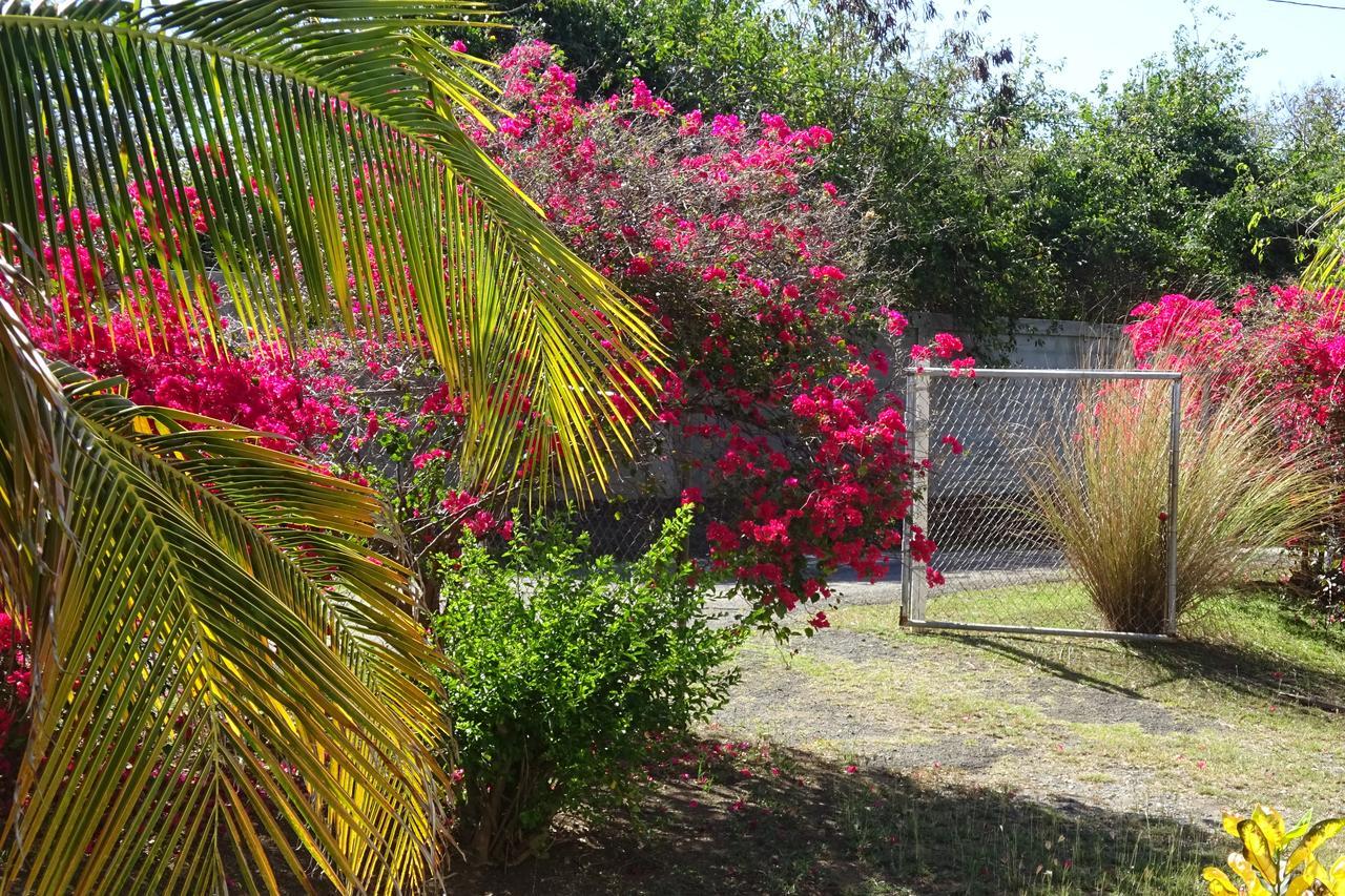 Vila Tranquility By The Sea Vieques Exteriér fotografie