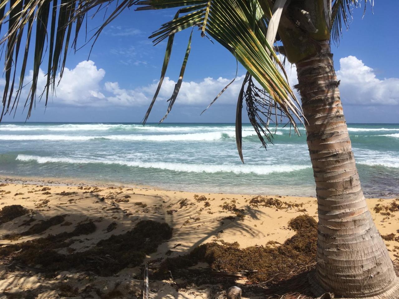 Vila Tranquility By The Sea Vieques Exteriér fotografie