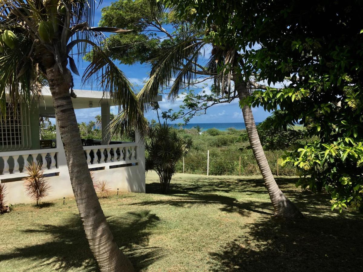 Vila Tranquility By The Sea Vieques Exteriér fotografie